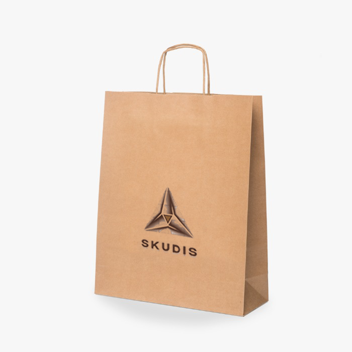 Paper bag with twisted handle