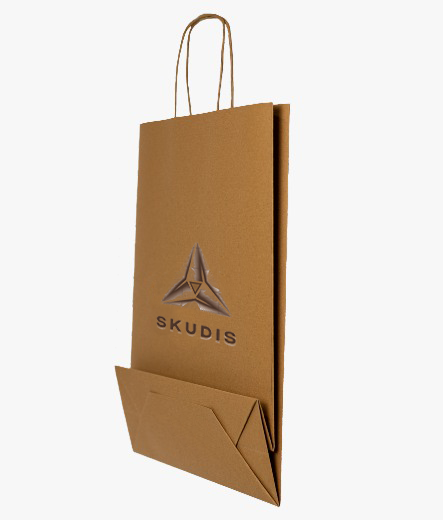 Paper bag with twisted handle