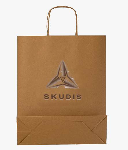 Paper bag with twisted handle